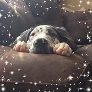 Meet your Posher, Heather